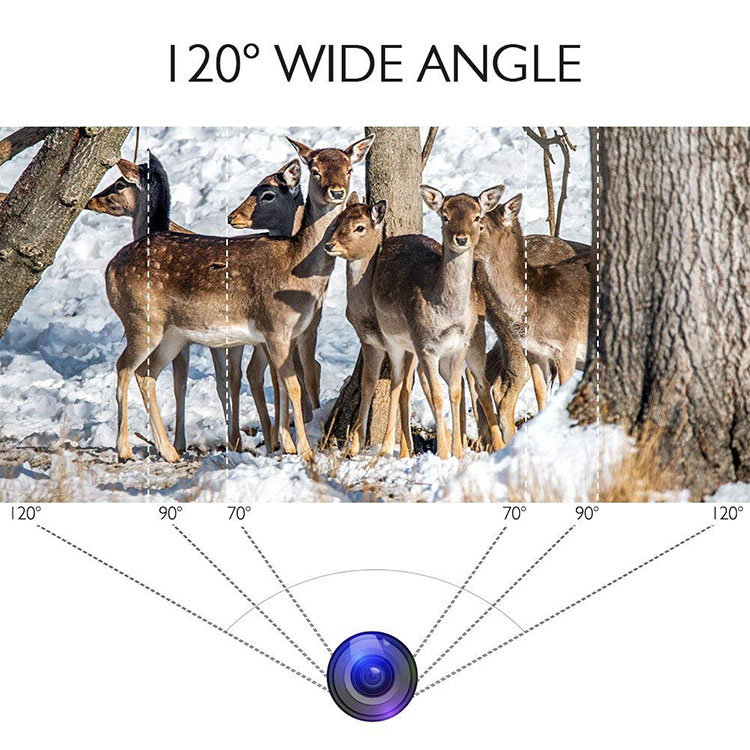 Trail camera 120 lens