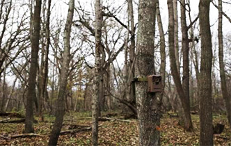 How to use hunting camera?
